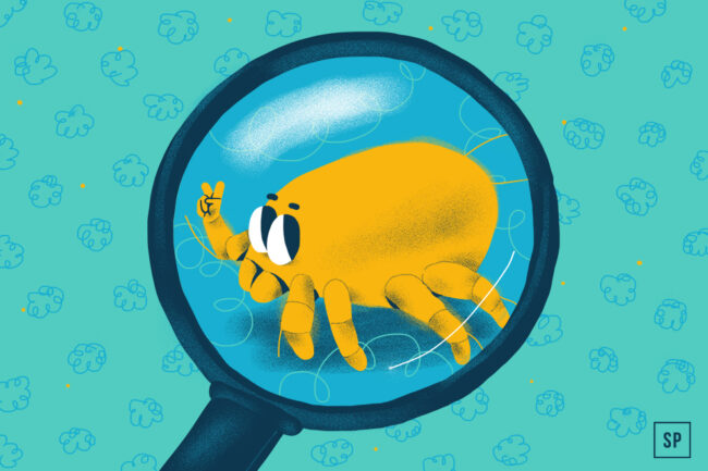 Eine gelbe Cartoon-Hausstaubmilbe mit großen Augen ist durch ein Vergrößerungsglas zu sehen, umgeben von staubigen Partikeln auf einem blaugrünen Hintergrund. Die Hausstaubmilbe hält zwei Beine hoch, als ob sie winken oder ein Friedenszeichen machen würde.