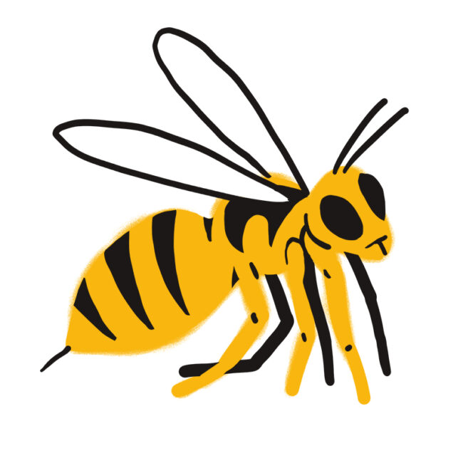 Eine einfache, stilisierte Illustration einer Biene mit gelben und schwarzen Streifen, zwei Flügeln, sechs Beinen und Fühlern, gezeichnet auf einem weißen Hintergrund.