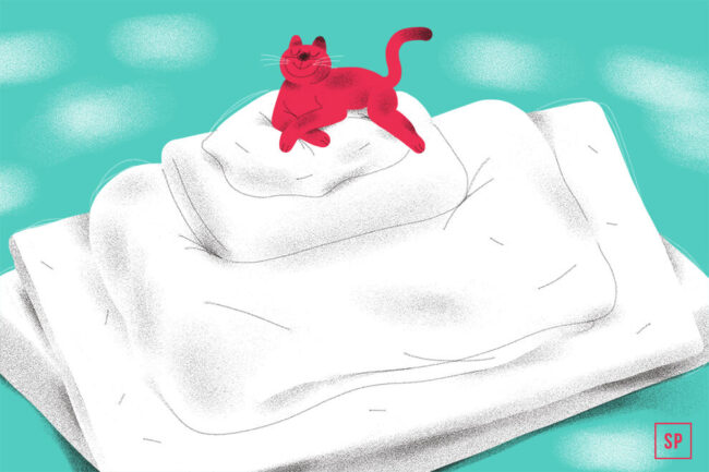 Eine rote Cartoon-Katze liegt zufrieden auf einem Stapel flauschiger weißer Decken vor einem türkisfarbenen Hintergrund.