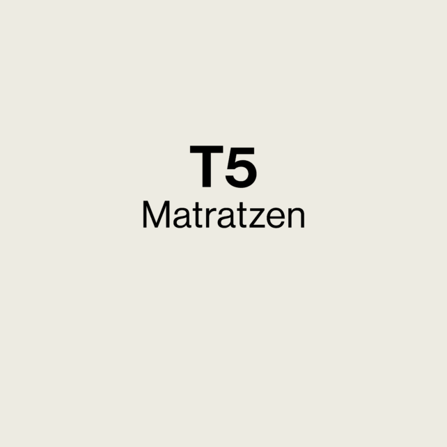 VW T5 Matratzen