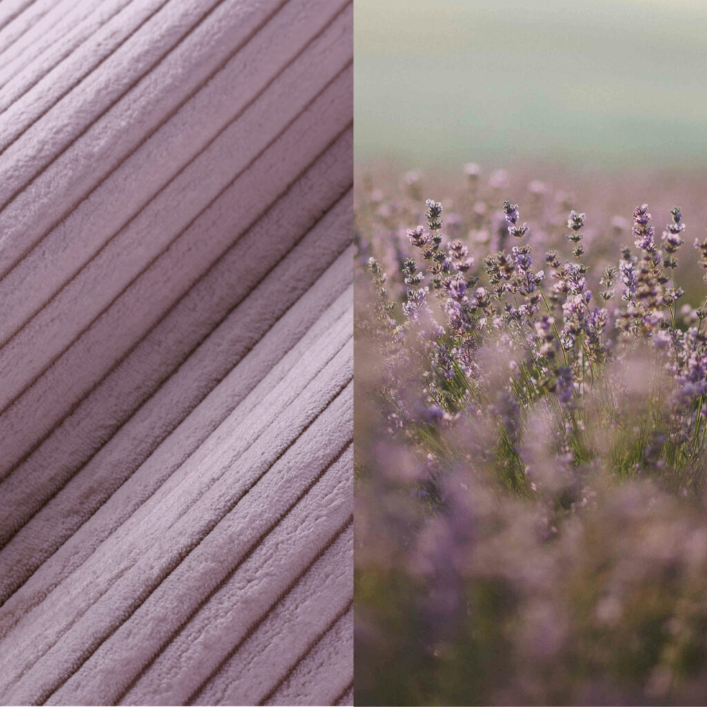 Geteiltes Bild: Links eine Nahaufnahme des weichen, gerippten, staubrosa Stoffes - perfekt für einen Levi Modularer Sessel mit Schlaffunktion; rechts ein verschwommenes Feld lavendelfarbener Blumen mit sanften violetten Tönen.