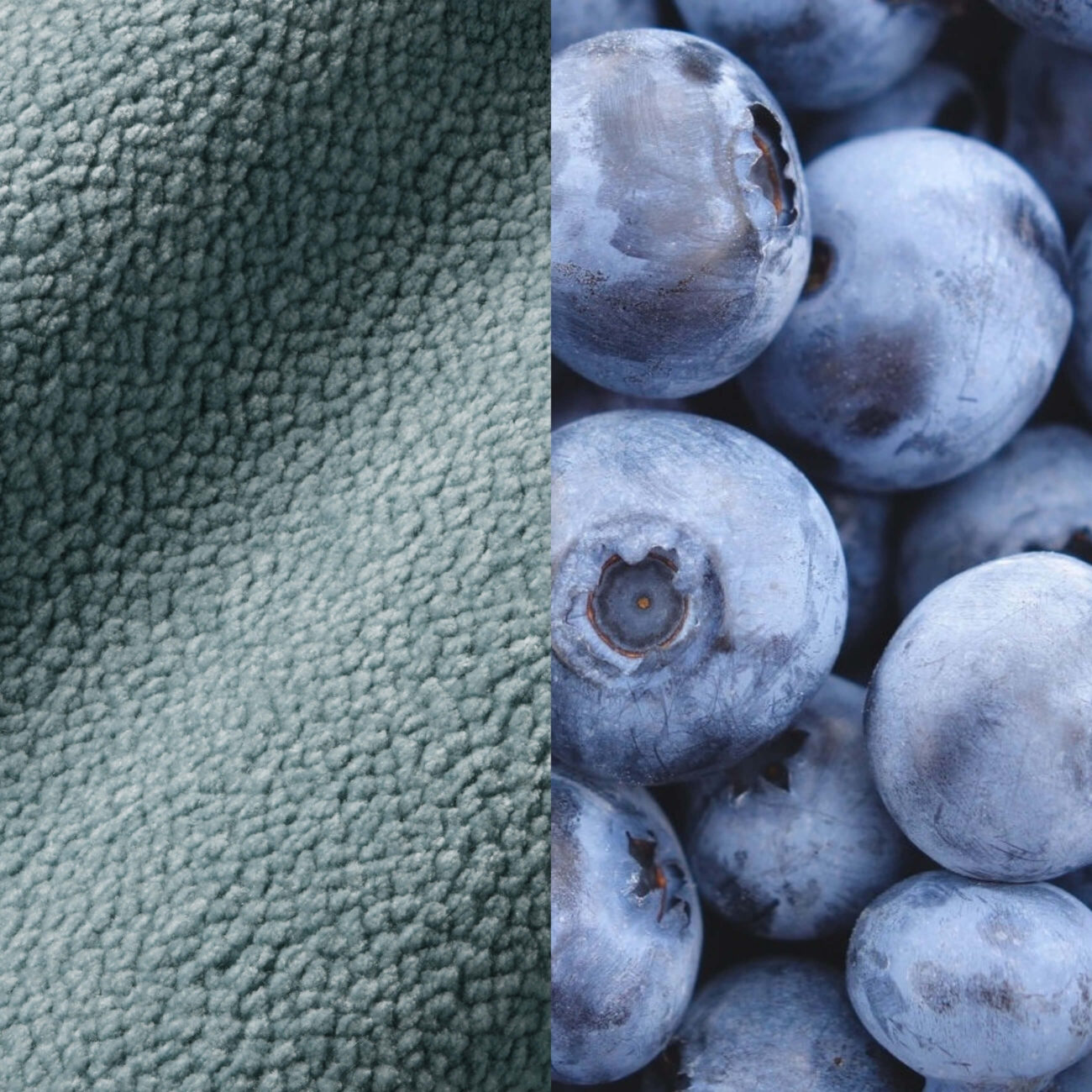 CB-BB Das Bild ist vertikal geteilt: Die linke Hälfte zeigt blauen strukturierten Vliesstoff, die rechte Hälfte eine Nahaufnahme mehrerer frischer Blaubeeren. Beide Seiten sind in der Farbe ähnlich.
