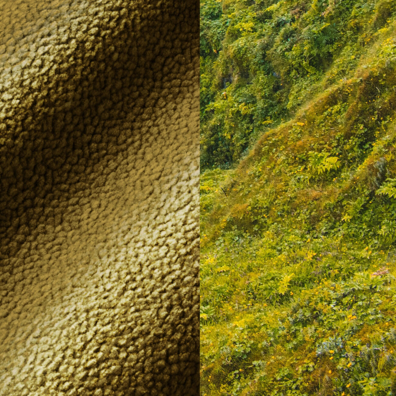 CB-MG Das Bild ist vertikal geteilt: Die linke Seite zeigt eine Nahaufnahme eines strukturierten braunen Stoffes, während die rechte Seite einen grünen, mit Pflanzen bewachsenen Hügel zeigt.