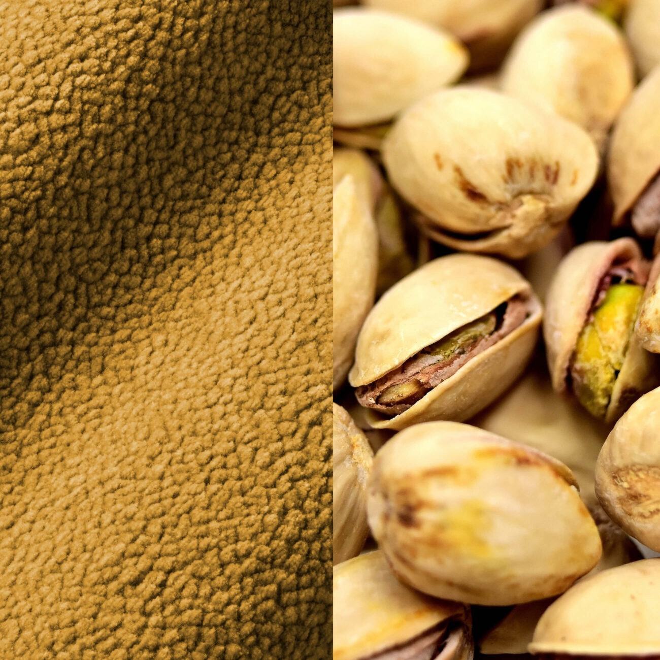 CB-PG Eine Nahaufnahme: links eine strukturierte, bräunliche Oberfläche, die an Leder erinnert, rechts ein Haufen ganzer Pistazien in der Schale.