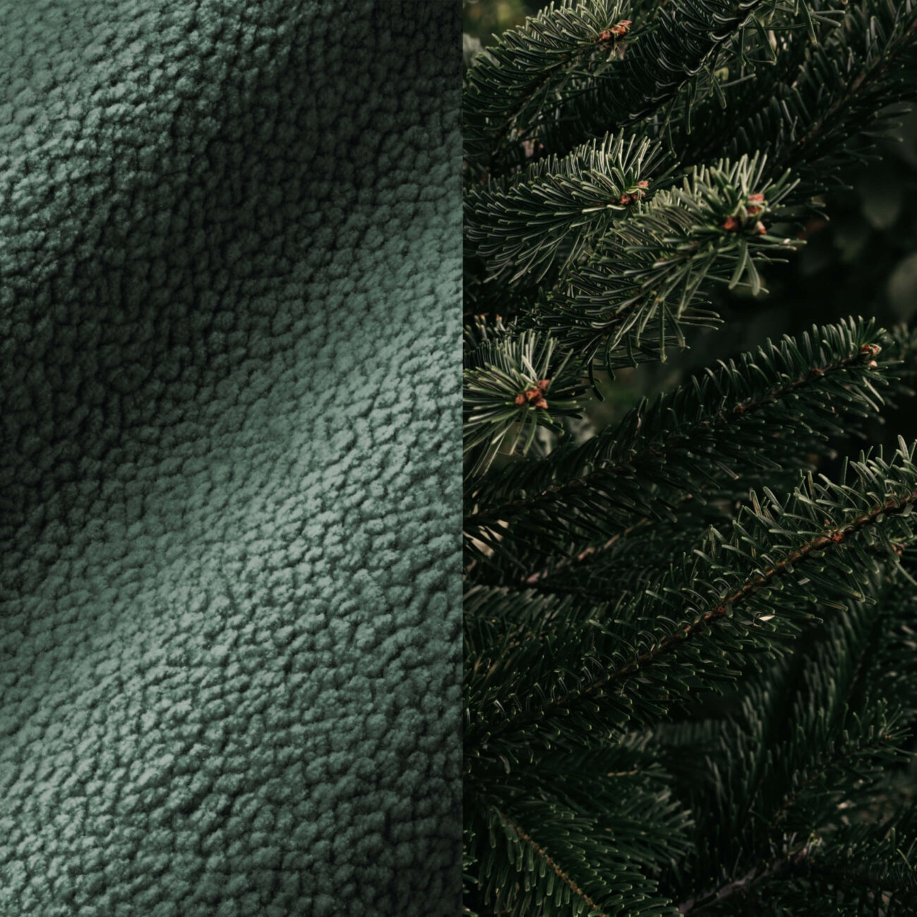 CB-TG Ein geteiltes Bild zeigt auf der linken Seite einen grünen Vliesstoff mit einer strukturierten, wolligen Oberfläche und auf der rechten Seite dichte, grüne Tannenzweige mit Nadeln. Beide Seiten haben einen ähnlichen Grünton.